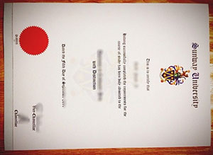 Nhận mẫu bằng tốt nghiệp thực tế của trường đại học Sunway để thăng tiến trong công việc