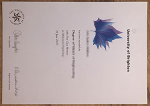 Obtenez un diplôme, étudiez à l'étranger à l'Université de Brighton